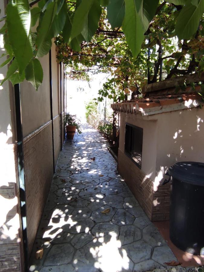 Los Abuelos Setenil De Las Bodegas Экстерьер фото