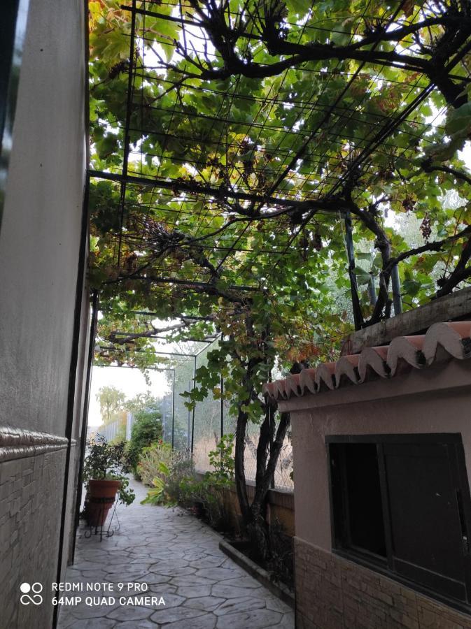 Los Abuelos Setenil De Las Bodegas Экстерьер фото