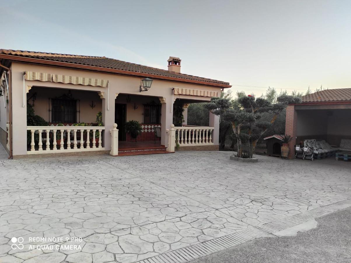 Los Abuelos Setenil De Las Bodegas Экстерьер фото
